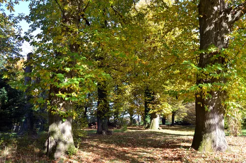 Arboretum Al Gaulhia